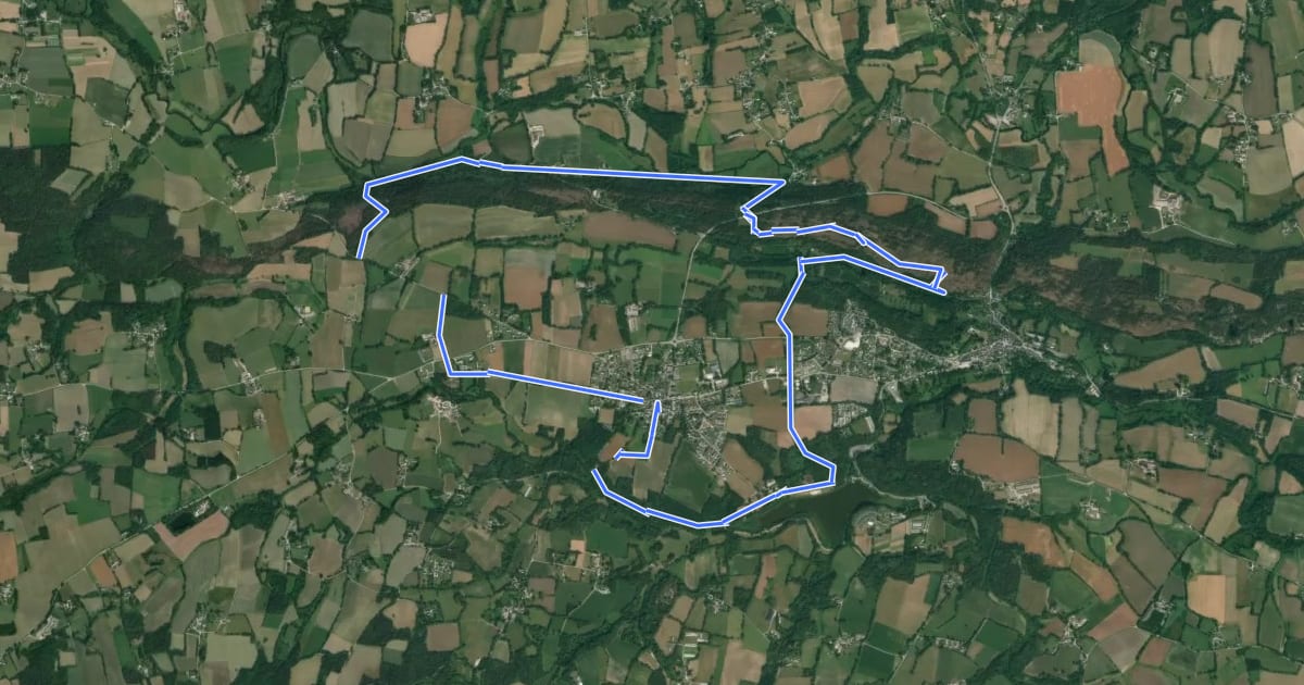 Маршрут Circuit des Palis на спутниковом снимке