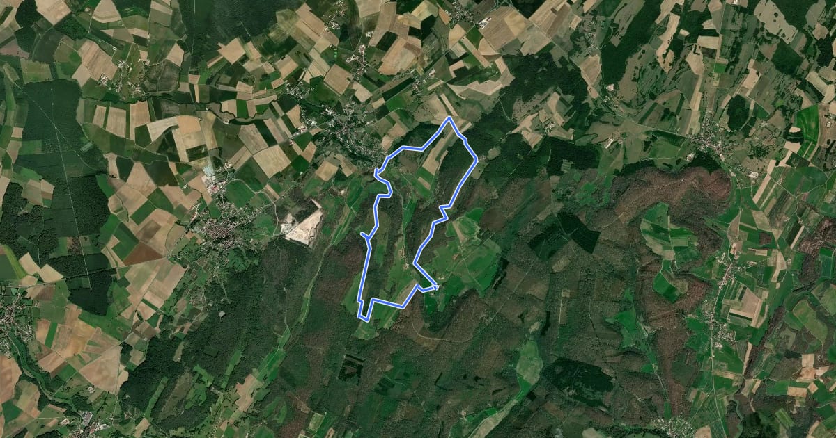 Маршрут Circuit des Pelouses на спутниковом снимке