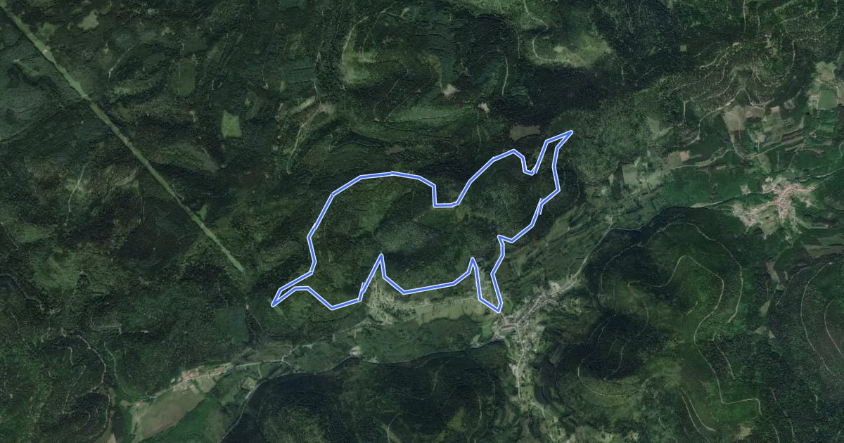 Маршрут Circuit des Roches на спутниковом снимке