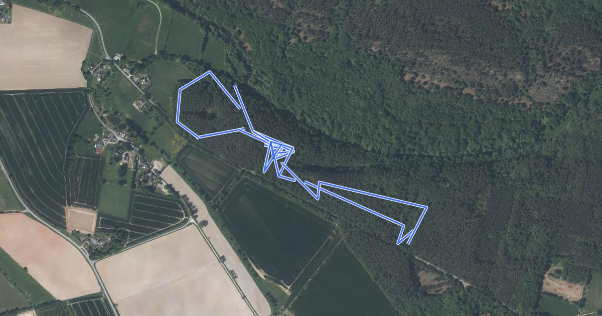 Маршрут Circuit des Rocs de Gascaigne на спутниковом снимке