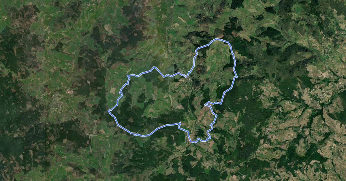 Маршрут Circuit des Sapins на спутниковом снимке