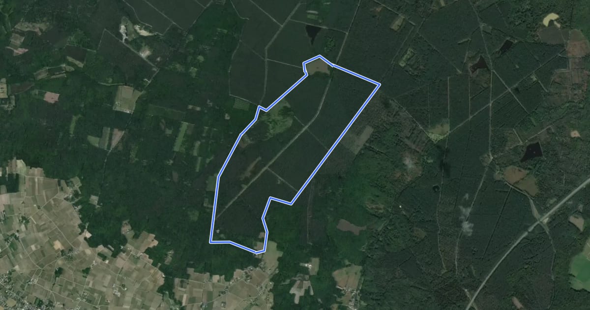 Маршрут Circuit des Étangs на спутниковом снимке