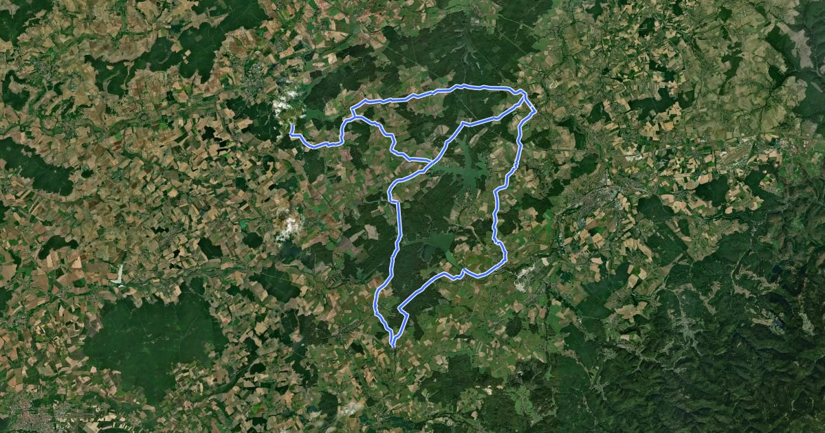 Маршрут Circuit des étangs - Rhodes - Lindre - Canal на спутниковом снимке