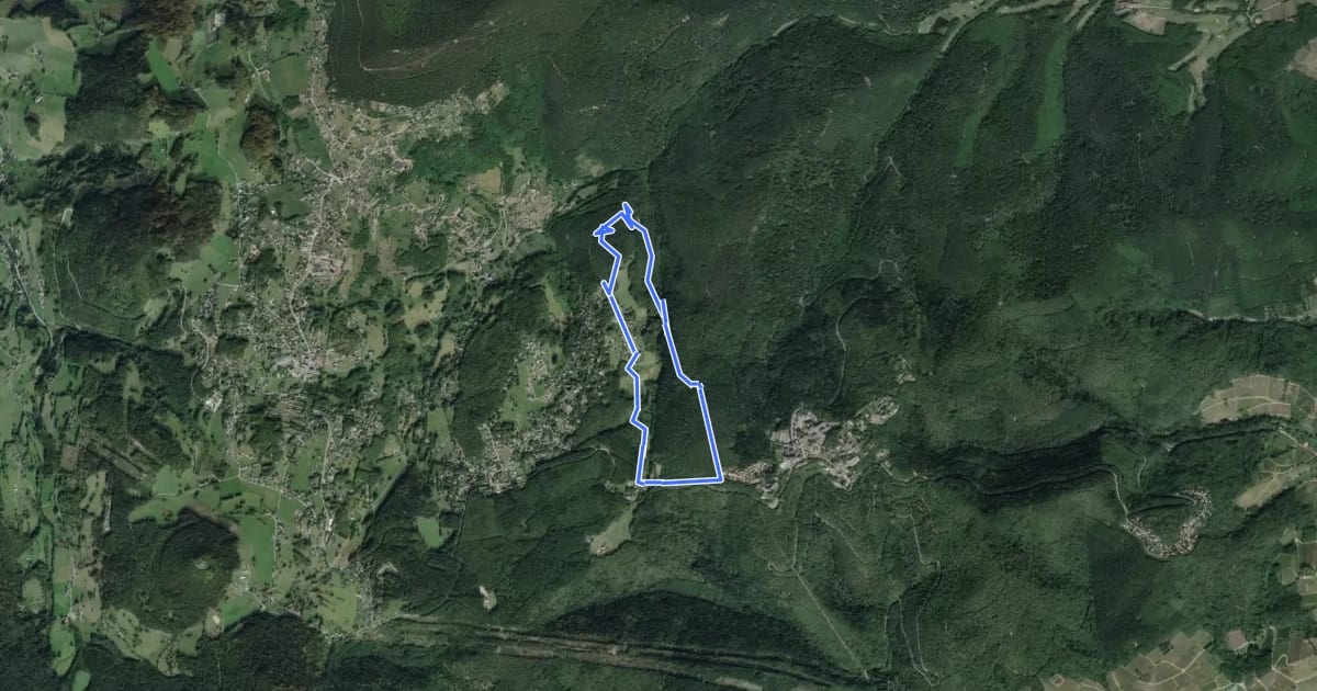 Маршрут Circuit des Vieux Champs на спутниковом снимке
