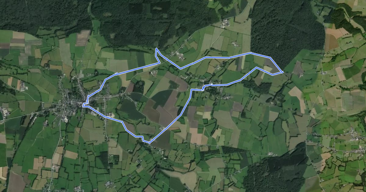 Маршрут Circuit du Biau Ri на спутниковом снимке
