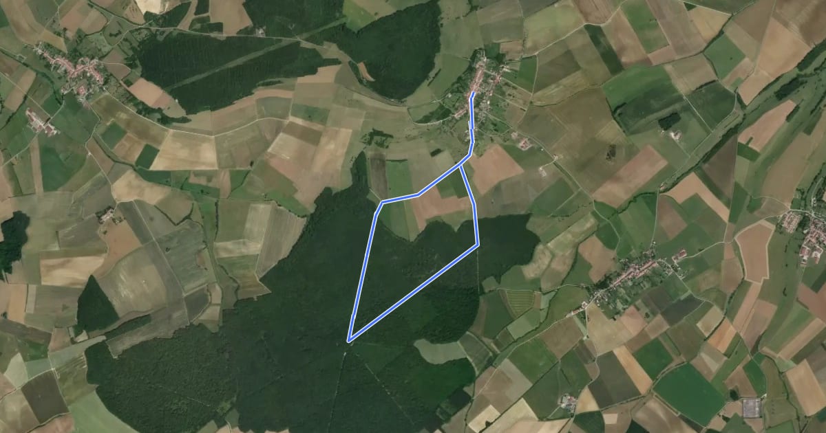 Маршрут Circuit du Bois Bas на спутниковом снимке