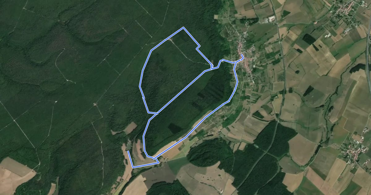 Маршрут Circuit du Bois Brûlé на спутниковом снимке