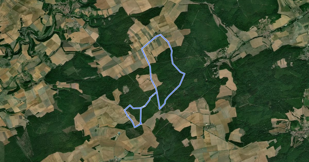 Маршрут Circuit du Bois de la Rappe на спутниковом снимке