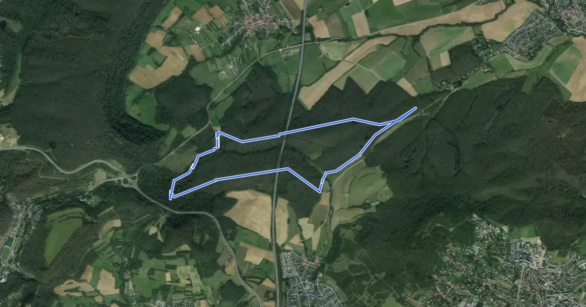 Маршрут Circuit du Bois de Thionville на спутниковом снимке