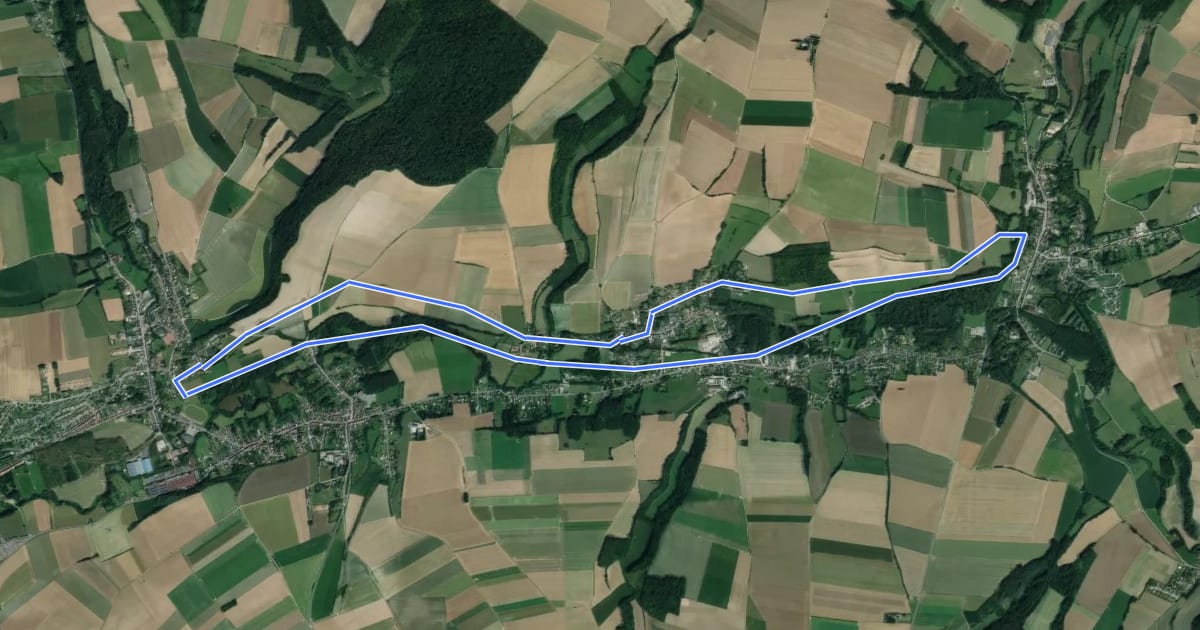 Маршрут Circuit du Bois des Dames на спутниковом снимке