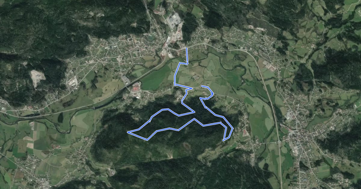 Маршрут Circuit du Bois du Bélier на спутниковом снимке