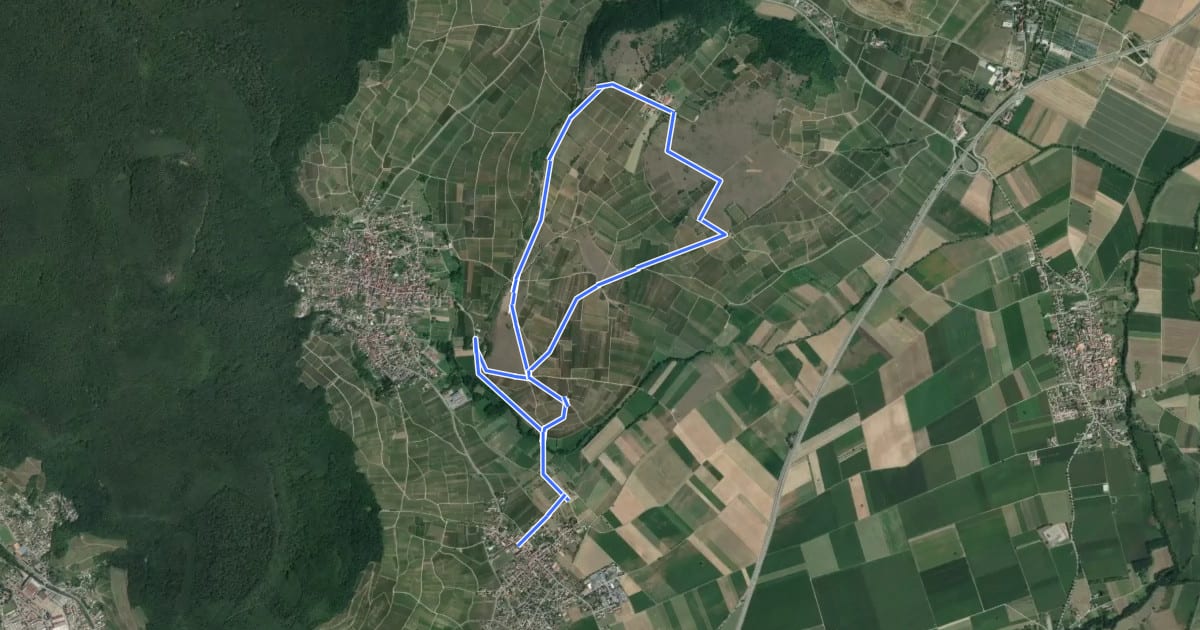 Маршрут Circuit du Bollenberg на спутниковом снимке