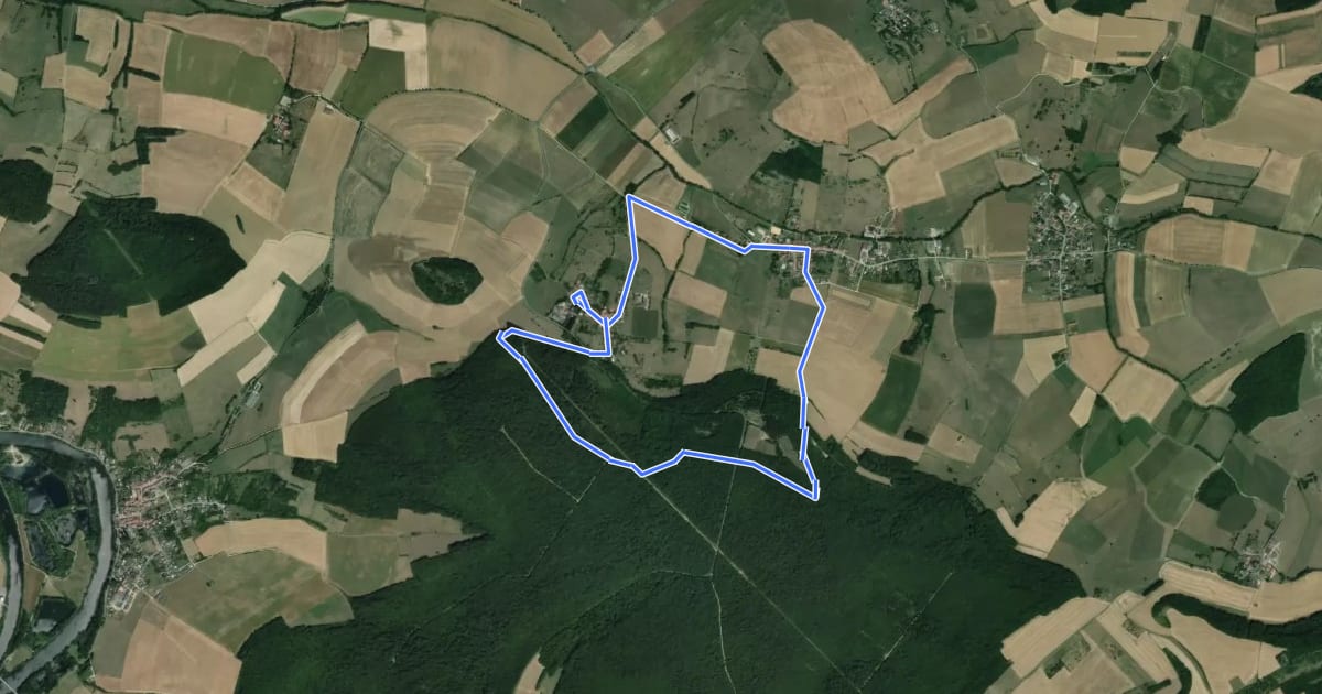 Маршрут Circuit du Buzion на спутниковом снимке