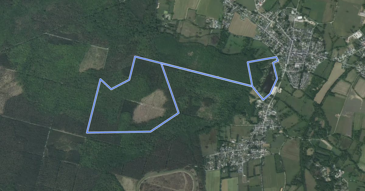 Маршрут Circuit du Chêne de la Messe на спутниковом снимке