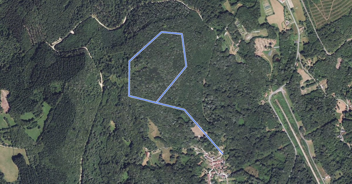 Маршрут Circuit du Chatelard на спутниковом снимке