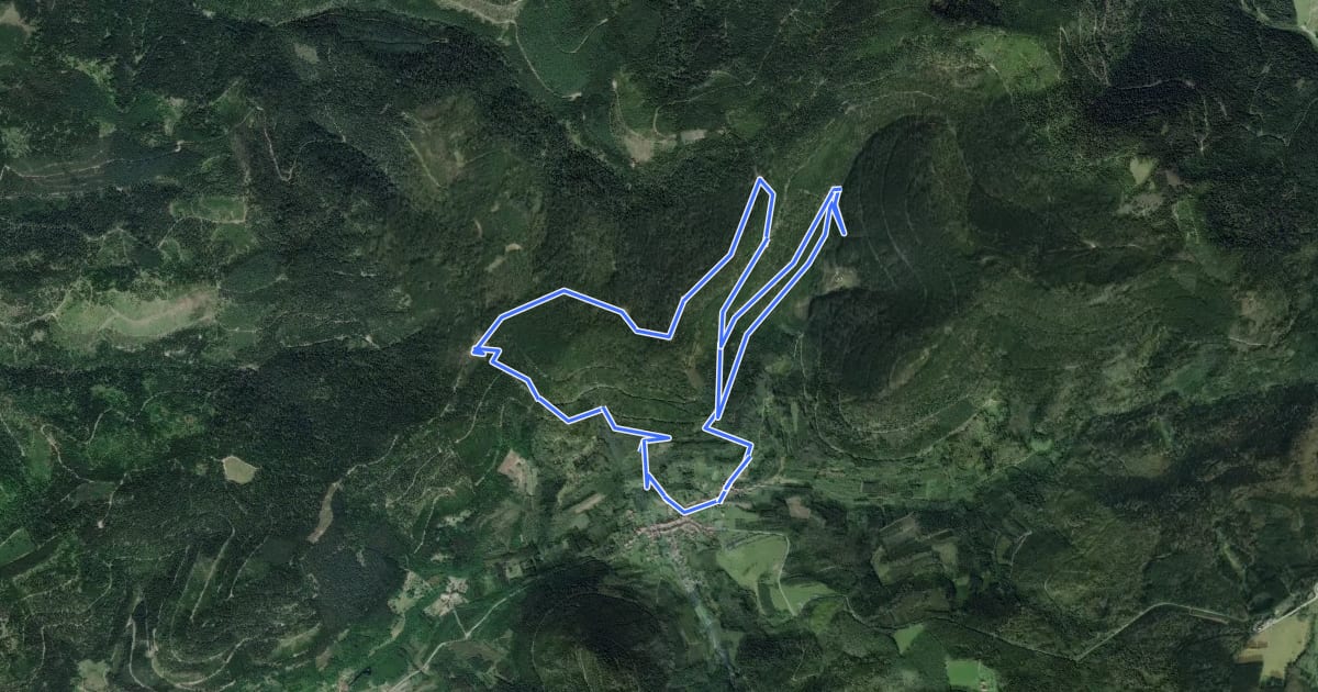 Маршрут Circuit du Chemin d’Allemagne на спутниковом снимке