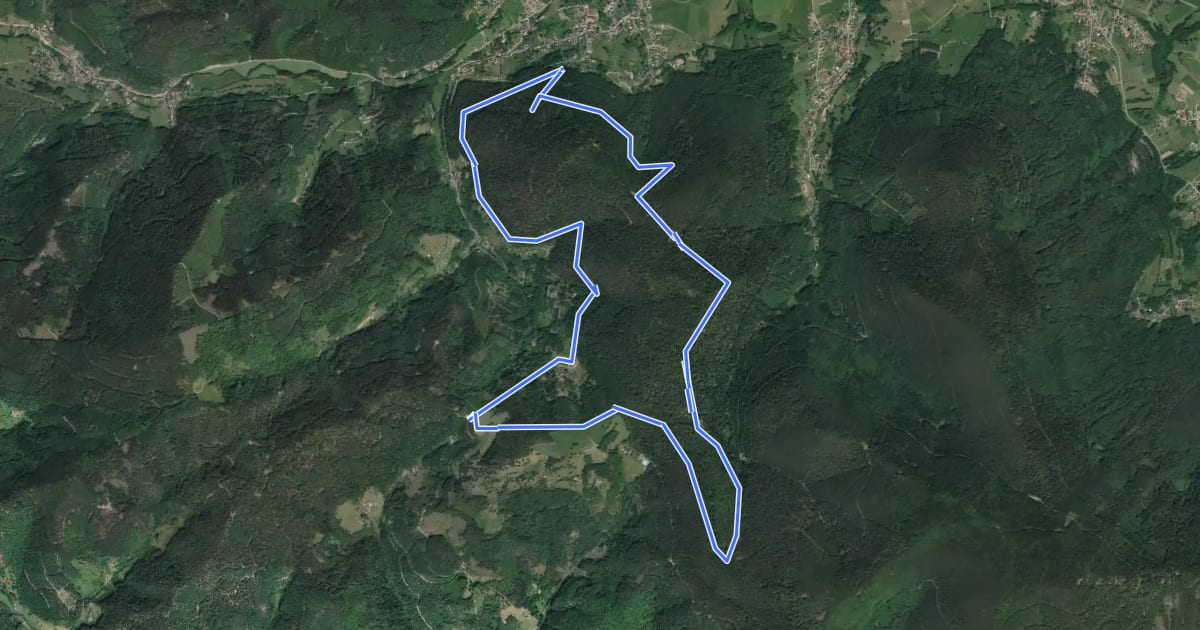 Маршрут Circuit du col de Fouchy на спутниковом снимке