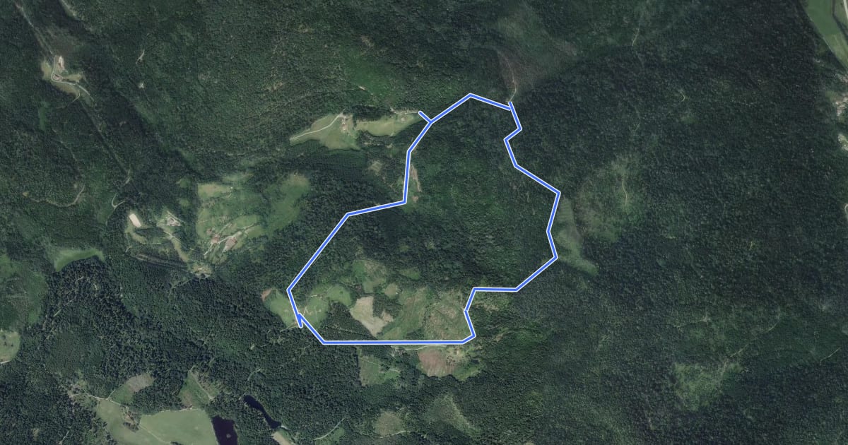 Маршрут Circuit du col de Longeroye на спутниковом снимке