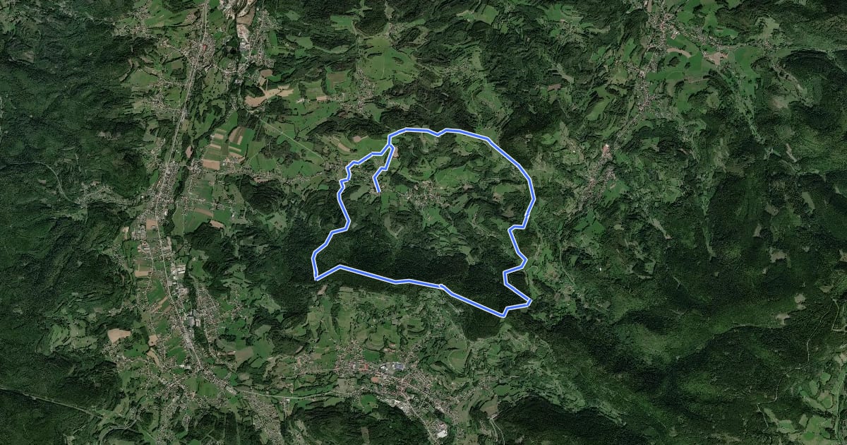 Маршрут Circuit du col de Mandray на спутниковом снимке