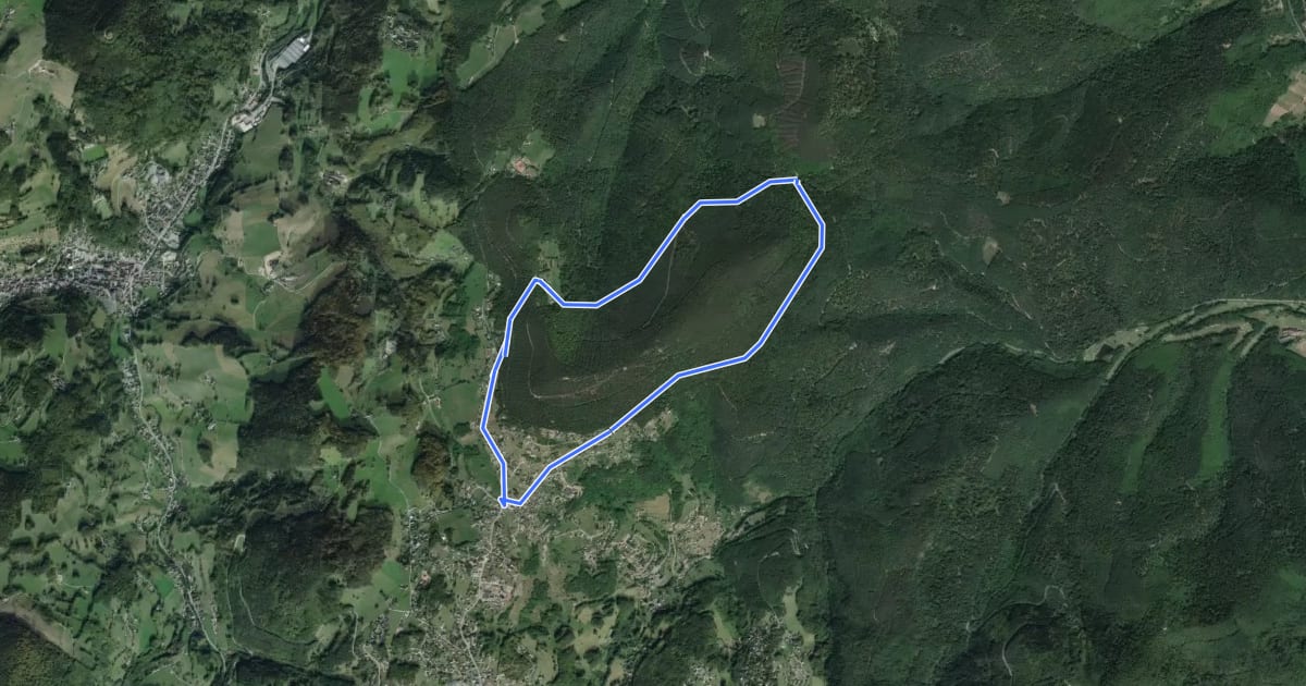 Маршрут Circuit du col du Herrenwasen на спутниковом снимке
