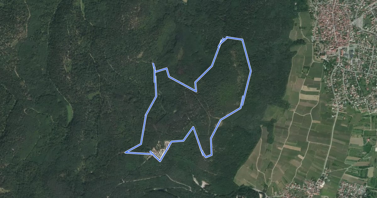 Маршрут Circuit du col du Rotenberg на спутниковом снимке
