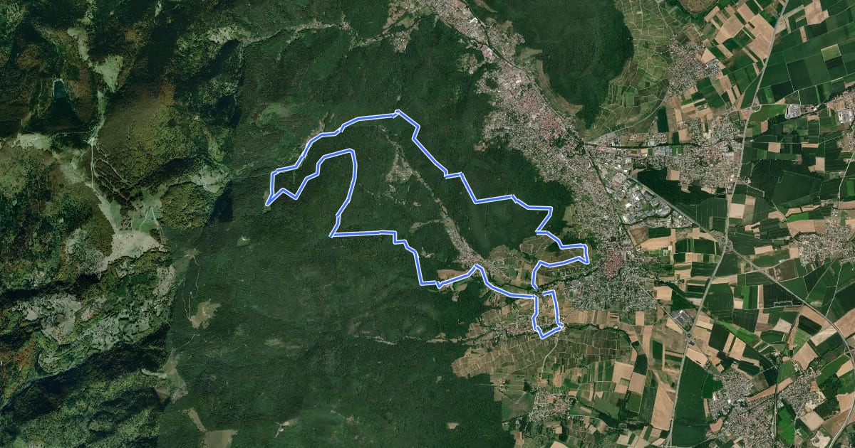 Маршрут Circuit du Diefenbach на спутниковом снимке
