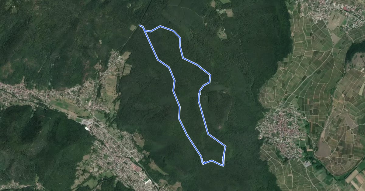Маршрут Circuit du Dreibannstein на спутниковом снимке