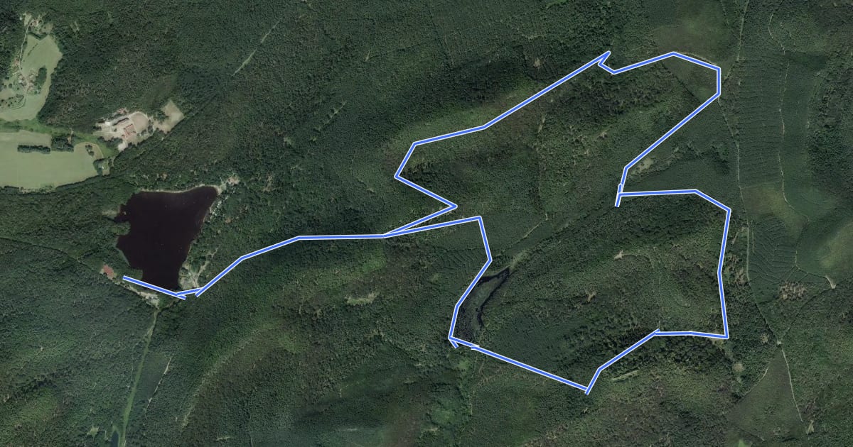 Маршрут Circuit du Falkenstein на спутниковом снимке