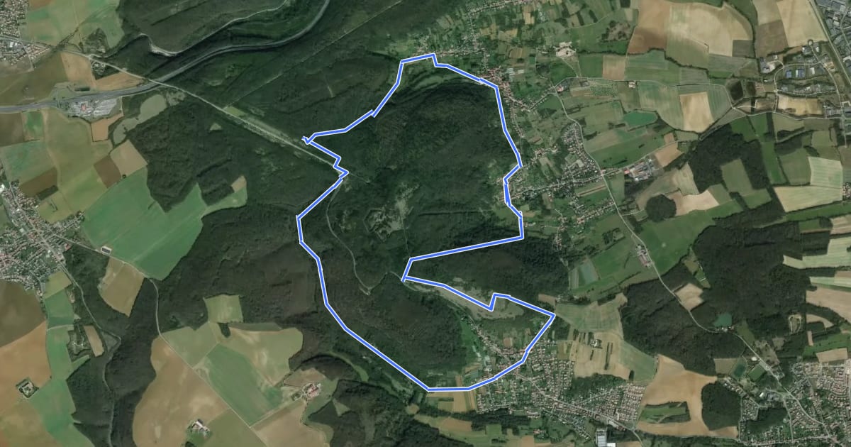 Маршрут Circuit du Fort de Lorraine на спутниковом снимке