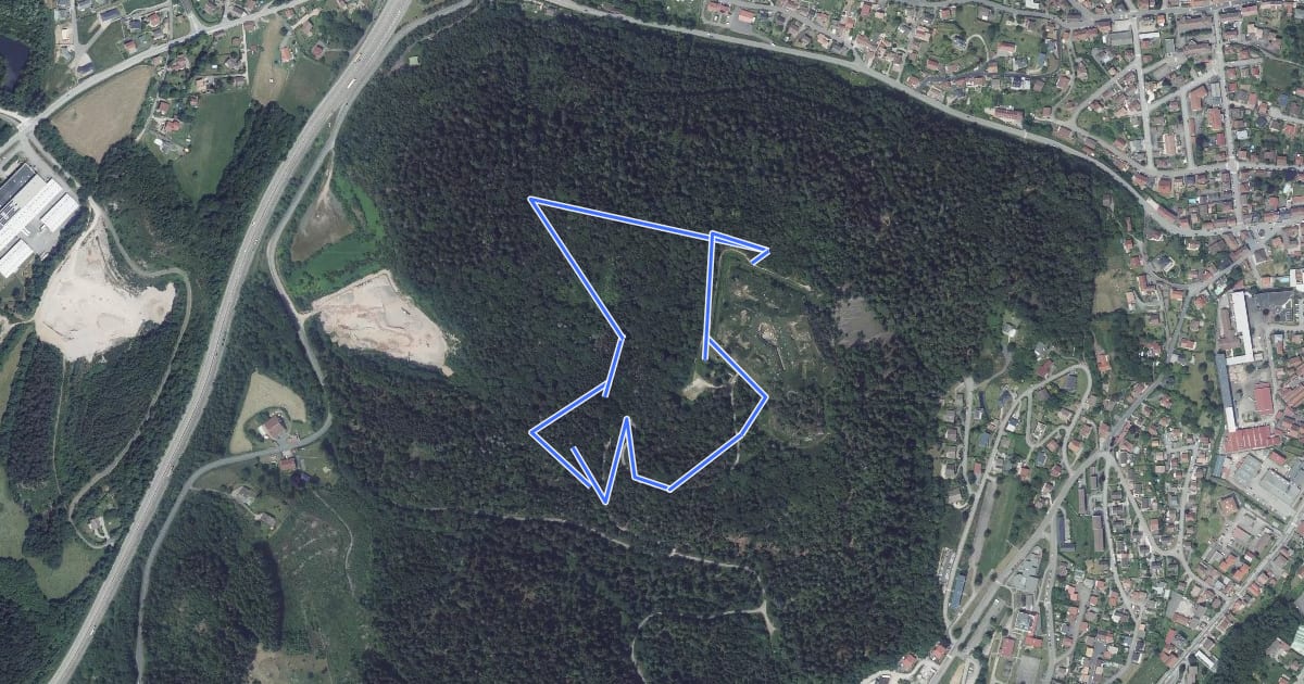 Маршрут Circuit du fort du Parmont на спутниковом снимке