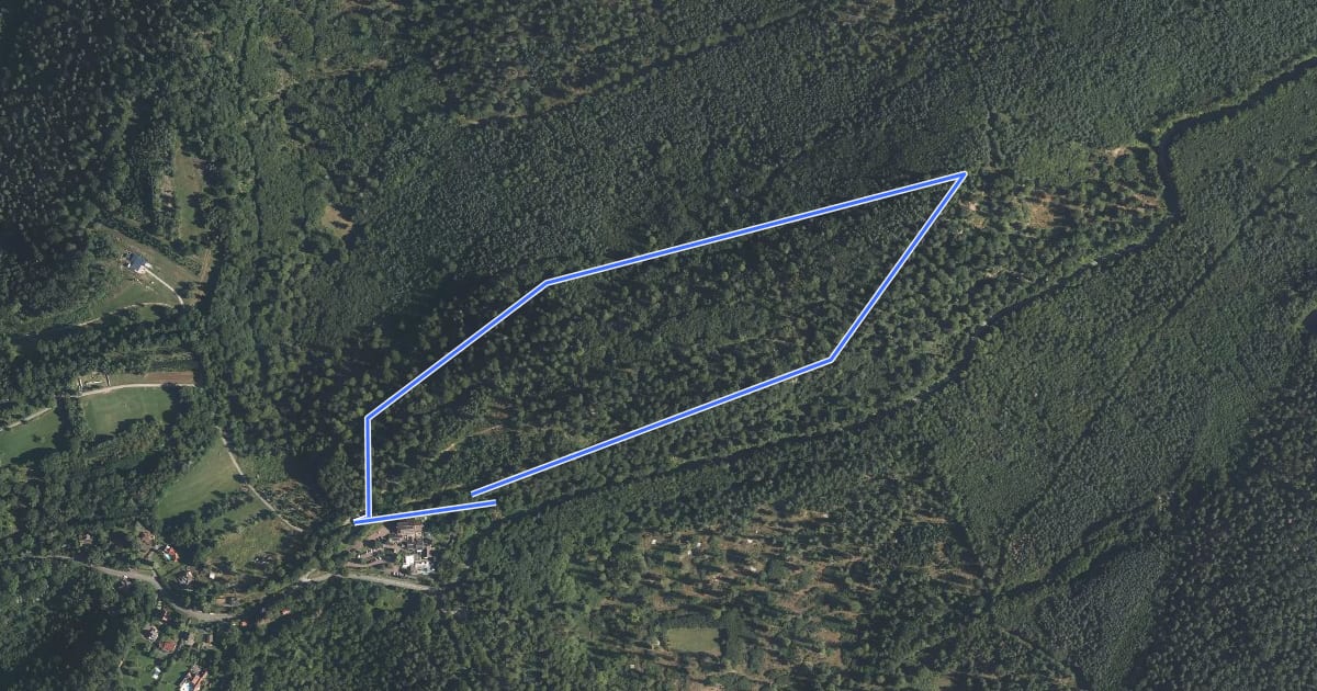 Маршрут Circuit du Froschkopf на спутниковом снимке