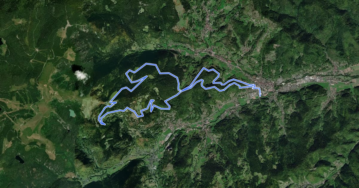 Маршрут Circuit du Gaschney на спутниковом снимке