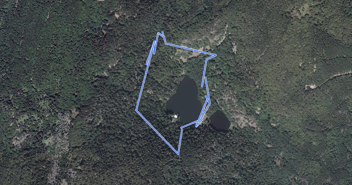 Маршрут Circuit du Grand Neuweiher на спутниковом снимке