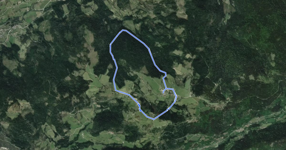 Маршрут Circuit du Grisard на спутниковом снимке