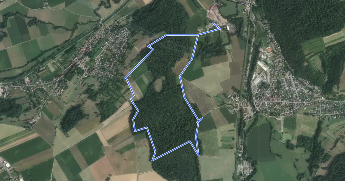 Маршрут Circuit du Haulenwald на спутниковом снимке