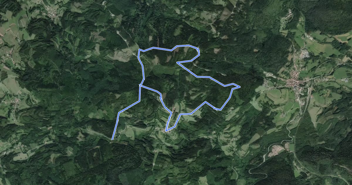 Маршрут Circuit du Haut de Belfays на спутниковом снимке