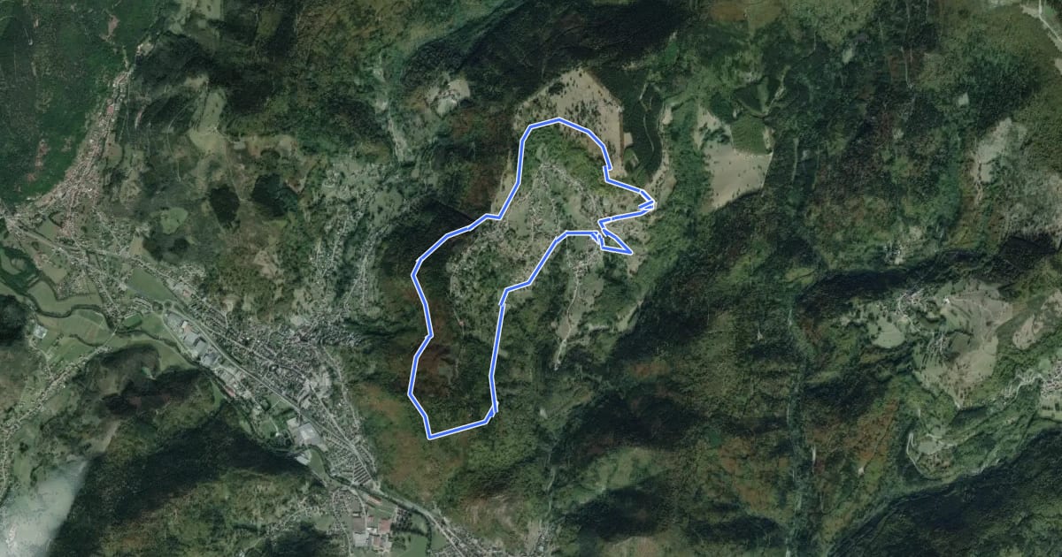 Маршрут Circuit du Herrenwald на спутниковом снимке
