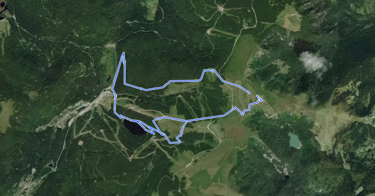 Маршрут Circuit du Hohneck на спутниковом снимке