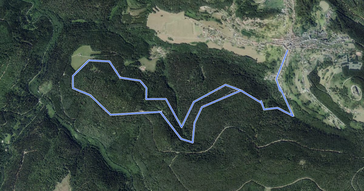 Маршрут Circuit du Jaegerhof на спутниковом снимке