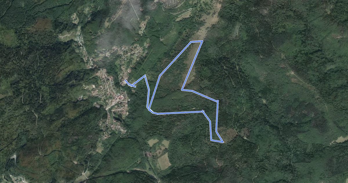 Маршрут Circuit du Kohlberg на спутниковом снимке