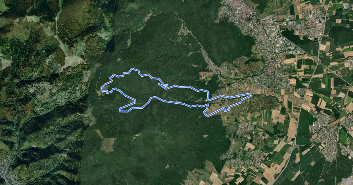 Маршрут Circuit du Kohlschlag на спутниковом снимке
