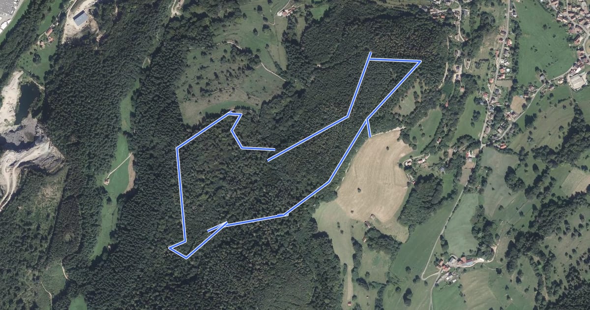 Маршрут Circuit du Kraehenberg на спутниковом снимке