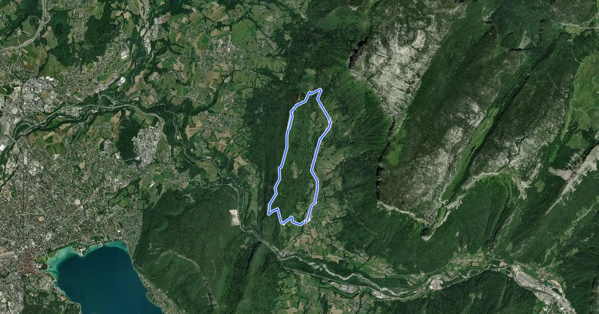 Маршрут Circuit du Lachat на спутниковом снимке