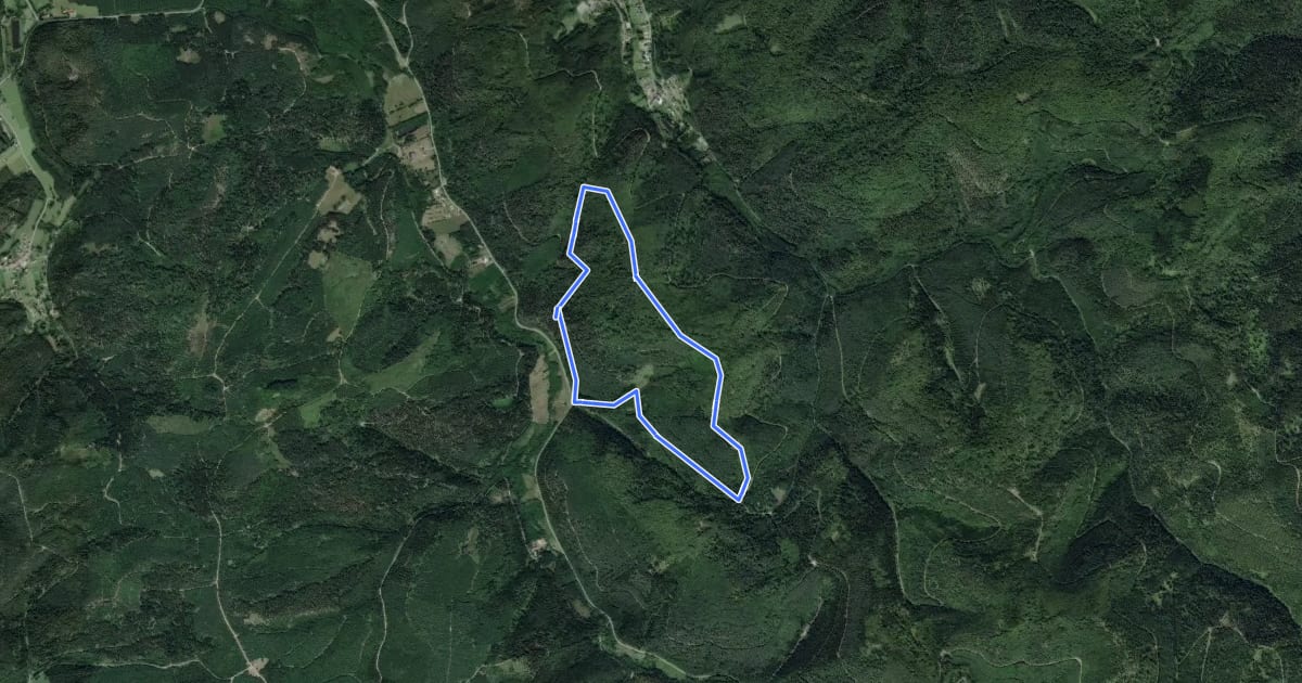 Маршрут Circuit du Lampertstein на спутниковом снимке