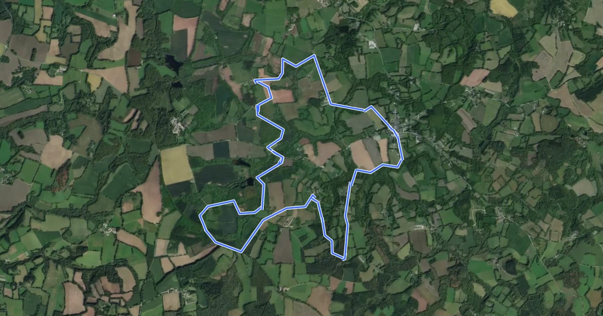 Маршрут Circuit du Larron на спутниковом снимке