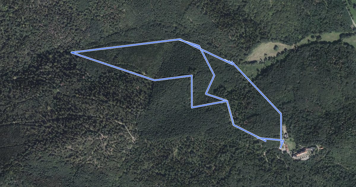 Маршрут Circuit du Lautenbaechlein на спутниковом снимке
