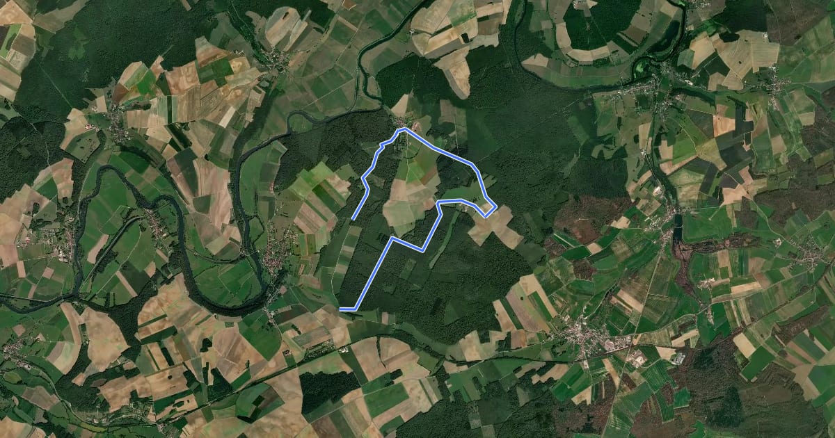 Маршрут Circuit du Lisey на спутниковом снимке