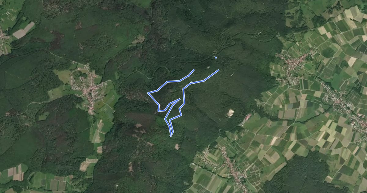 Маршрут Circuit du Luchsenkopf на спутниковом снимке