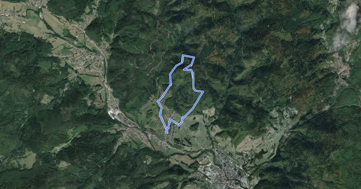Маршрут Circuit du Luttersberg на спутниковом снимке