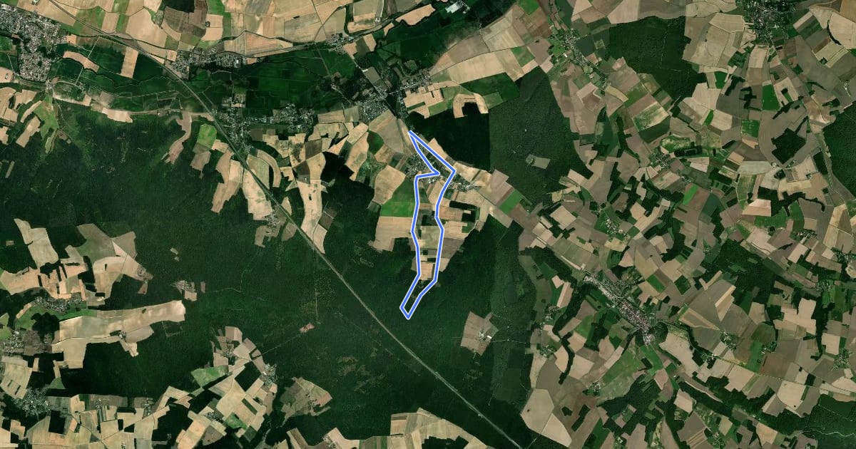 Маршрут Circuit du menhir de Vaumort на спутниковом снимке